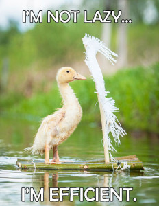 Little duckling floating on a raft