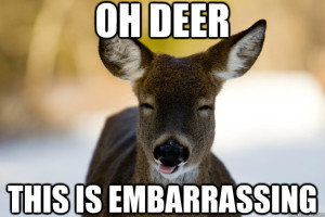 oh deer this is embarrasing